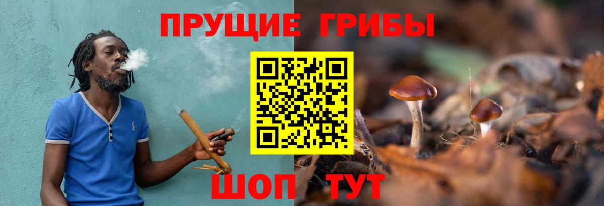 Псилоцибиновые грибы Psilocybine cubensis  Вход с VPN  Обь 